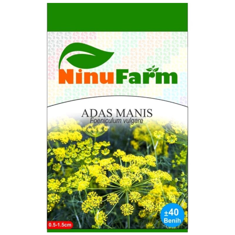 Benih Tanaman ADAS MANIS / Bibit Tanaman Unik Lucu Berbunga