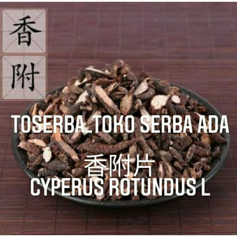 

100gr Herbal Xiang Fu 香附 Cyperus Rotundus L Nutgrass Galingale Rhizome