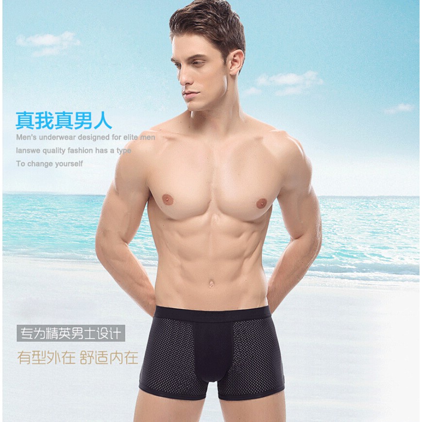 Celana Dalam Ice Silk Boxer Brief Pria - T73024