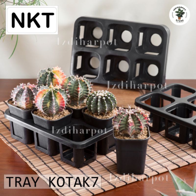 1 set Tray + POT BUNGA NKT KOTAK 7 CM HITAM | tray semai bibit