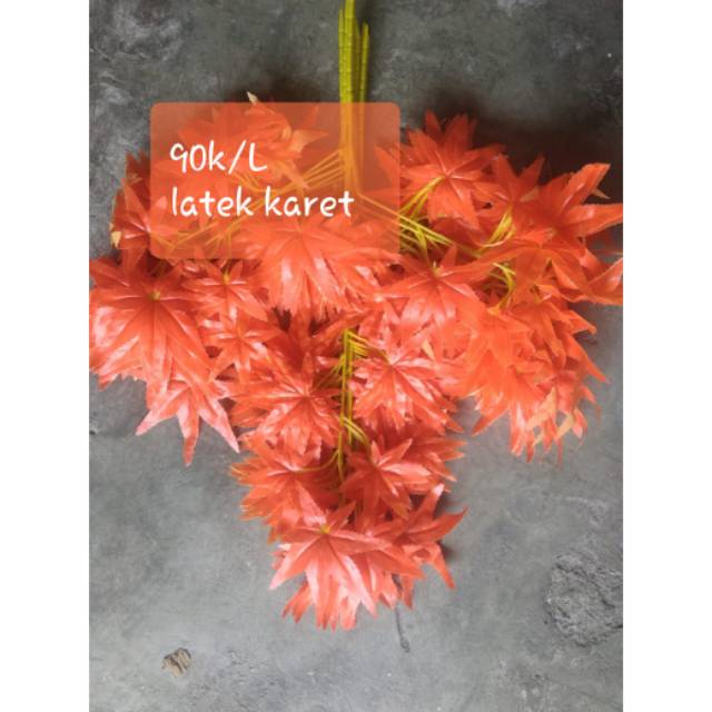 

Daun Ganja, harga per Lusin