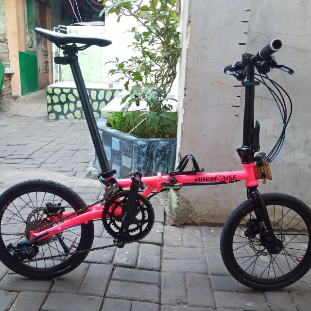 Evergreen maximus 16 349