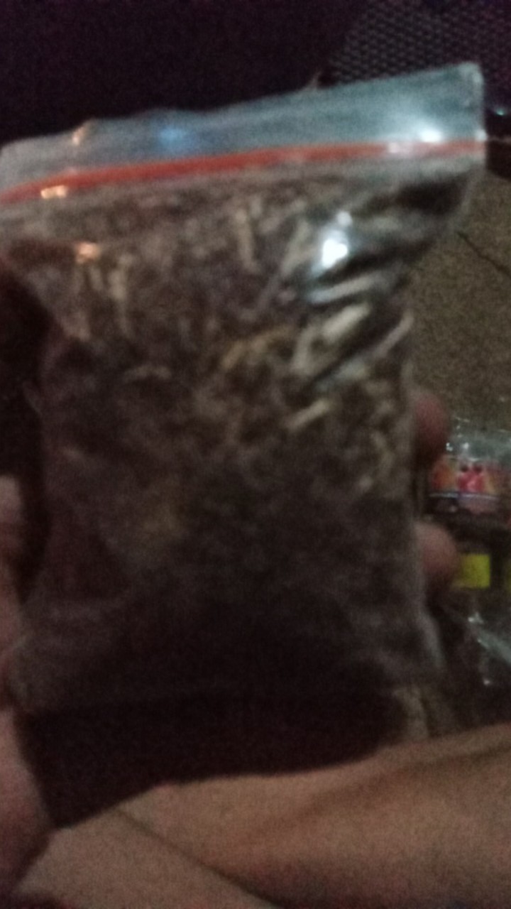 Saponin Racun Siput /keong