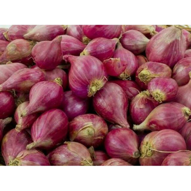 

Bawang Merah TERMURAH 1/2 KG