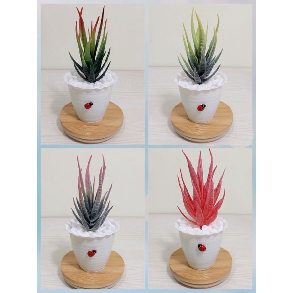 Kaktus Sukulen Artificial  kaktus sukulen lidah buaya artificial plastik lidah buaya imitasi