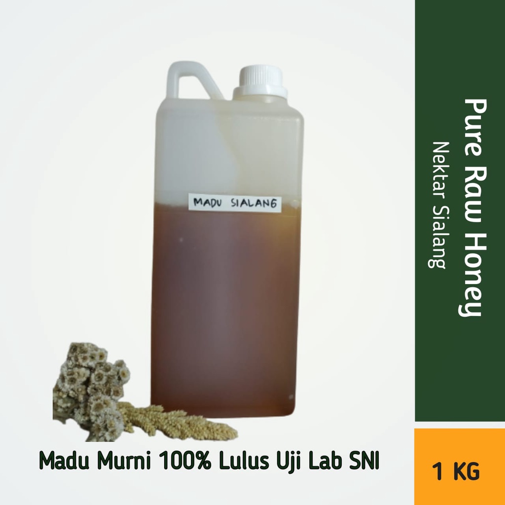 

Madu Asli Hutan Sialang Sumatera 1 KG Raw Honey Madu Murni Lebah Apis Dorsata