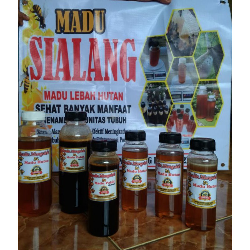 

madu sialang madu yang berasal dari lebah hutan