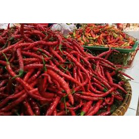 Cabai merah keriting 1 Kg