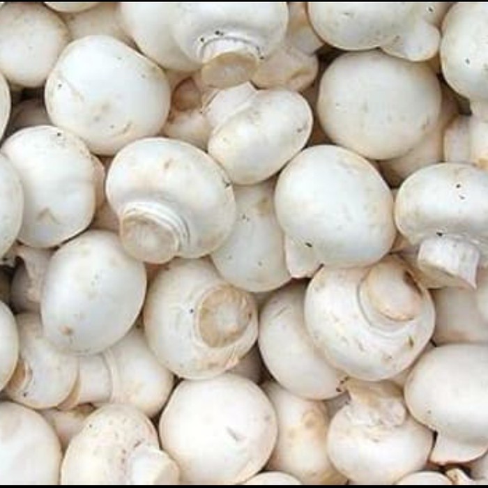 

FCW - Jamur Kancing / Jamur Champignon 100 Gram