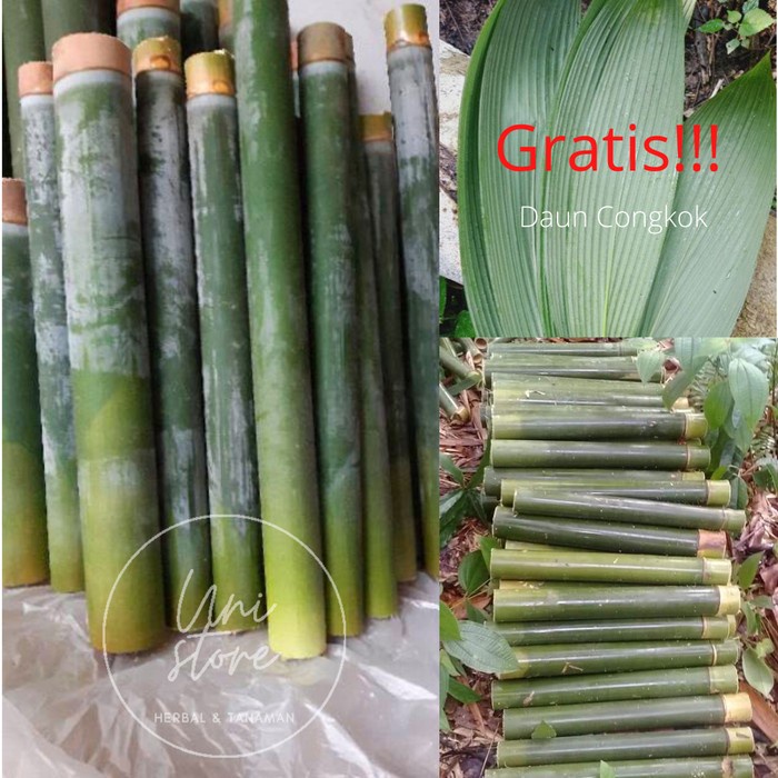 

New Ruas Bambu Untuk Nasi Lemang Paket Lengkap + Daun Congkok Siap Masak