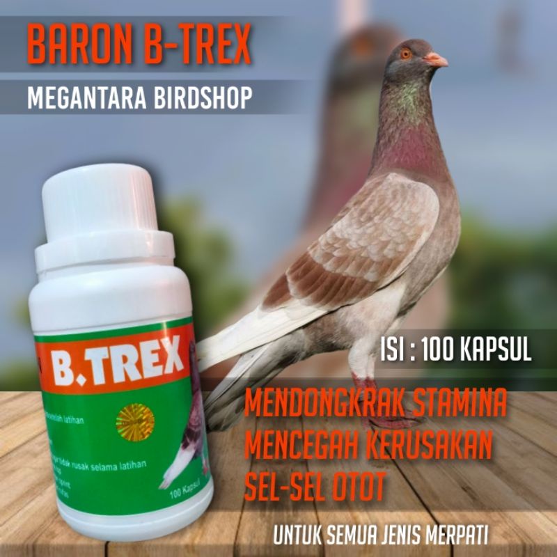 Baron btrex doping merpati suplemen vitamin otot merpati btrex isi 100 kapsul