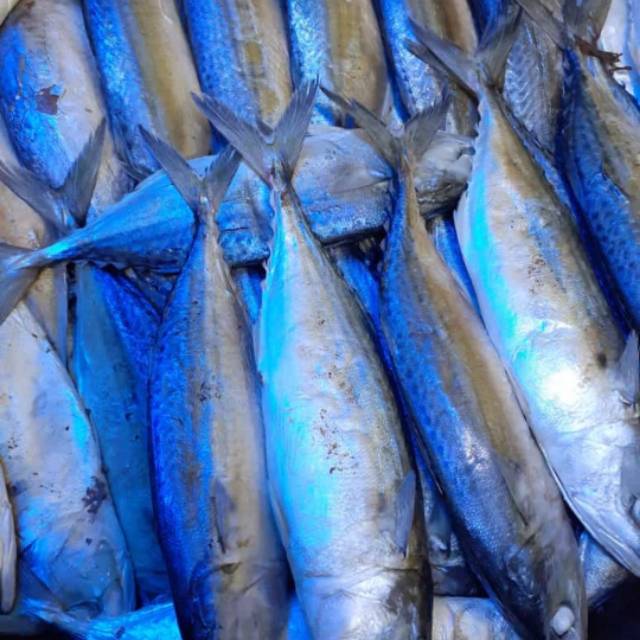 

Ikan rebus Medan, berat : 500 gram