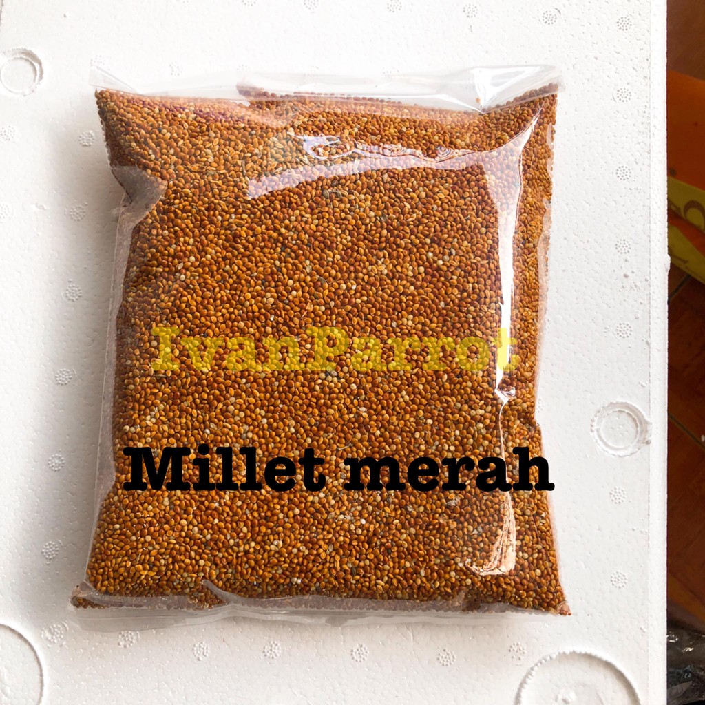 MILET MERAH KILOAN MILLET MERAH MILLET 1KG
