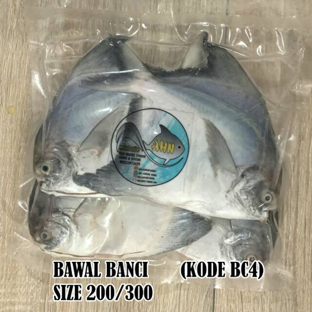 

Ikan Bawal Banci size 200/300 isi 4 pcs ( High Quality )