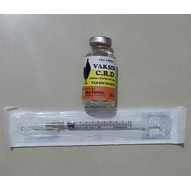Vaksin Ayam CRD