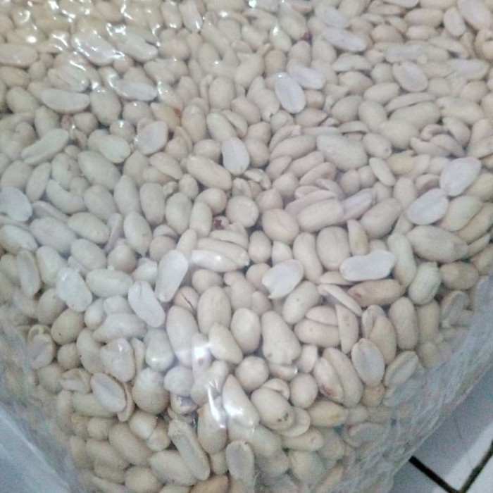 

kacang tanah kupas jumbo
