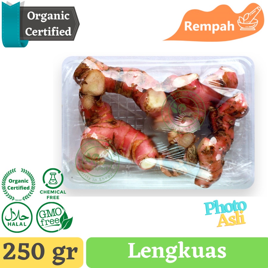 

Lengkuas Galangal Premium / Buah Bumbu Sayur Masak by Pangan Export
