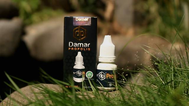 DAMAR PROPOLIS  - 100% EKSTRAK PROPOLIS ASLI