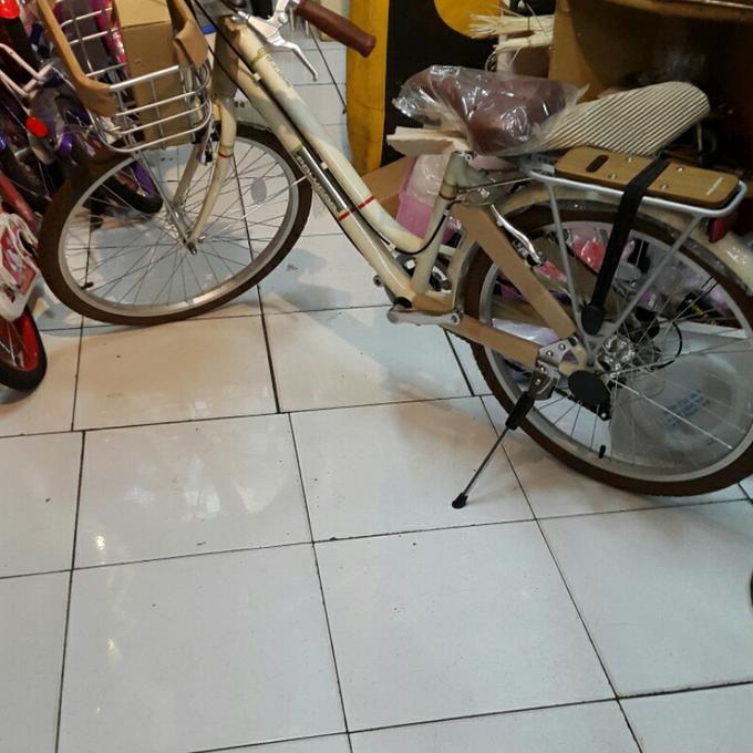 polygon sierra ax 24 inch city bike