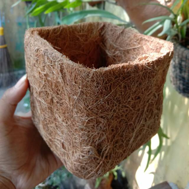 Pot sabut kelapa bentuk kotak unik dan lucu cocok untuk anggrek dan tanaman hias lainya