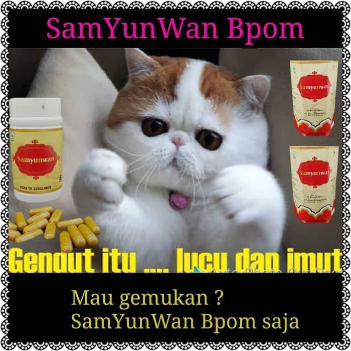 DASYAT SAMYUNWAN BPOM OBAT PENGGEMUK BADAN / SAMYUNWAN OBAT GEMUK ORIGINAL 