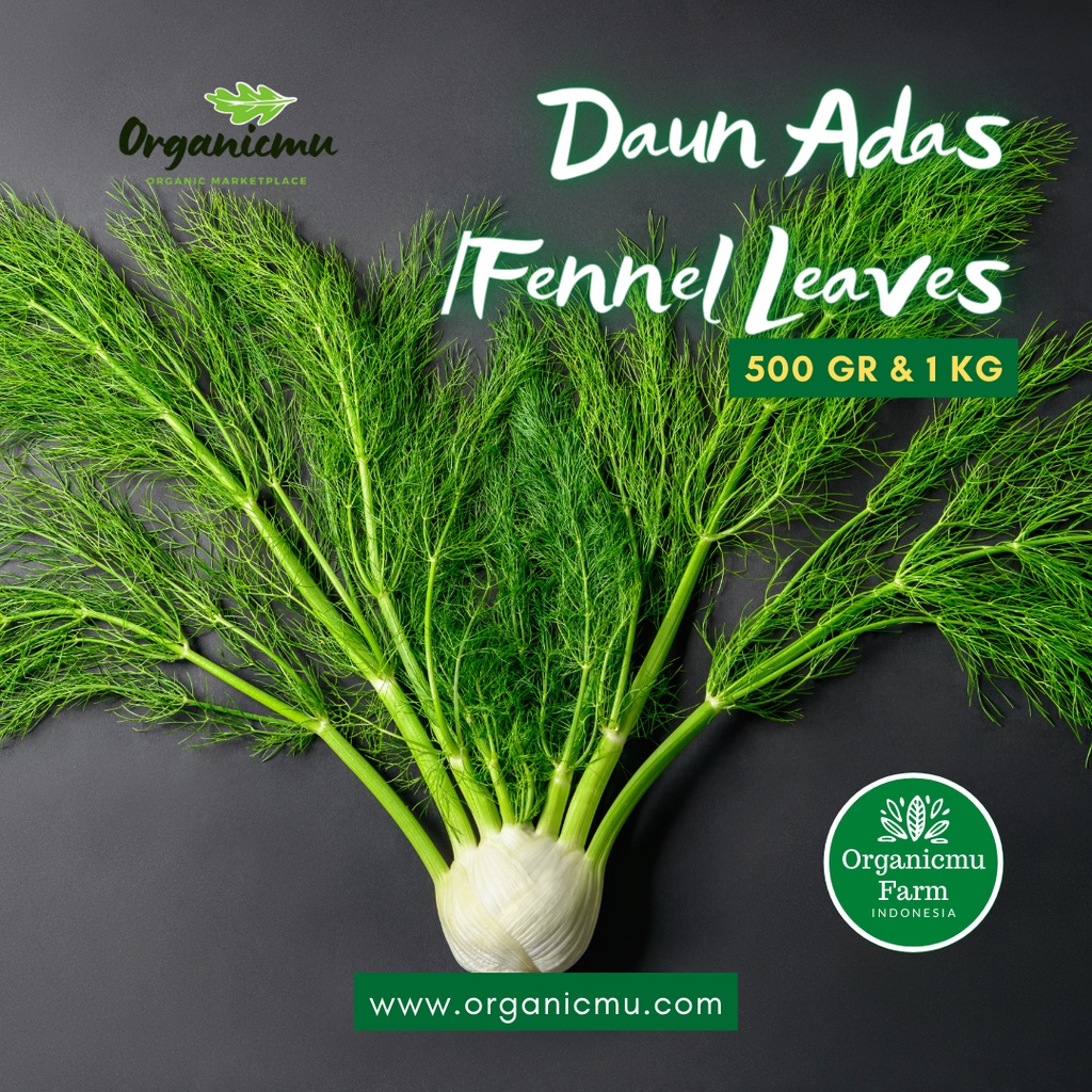 

Organicmu - Daun Adas 1 kg