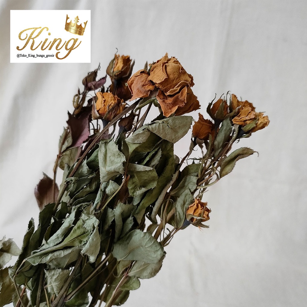 Dried Flower Rose Bunga Kering Mawar Asli Hias Dekorasi Buket Bouquet Rumah Pesta Kantor Kamar