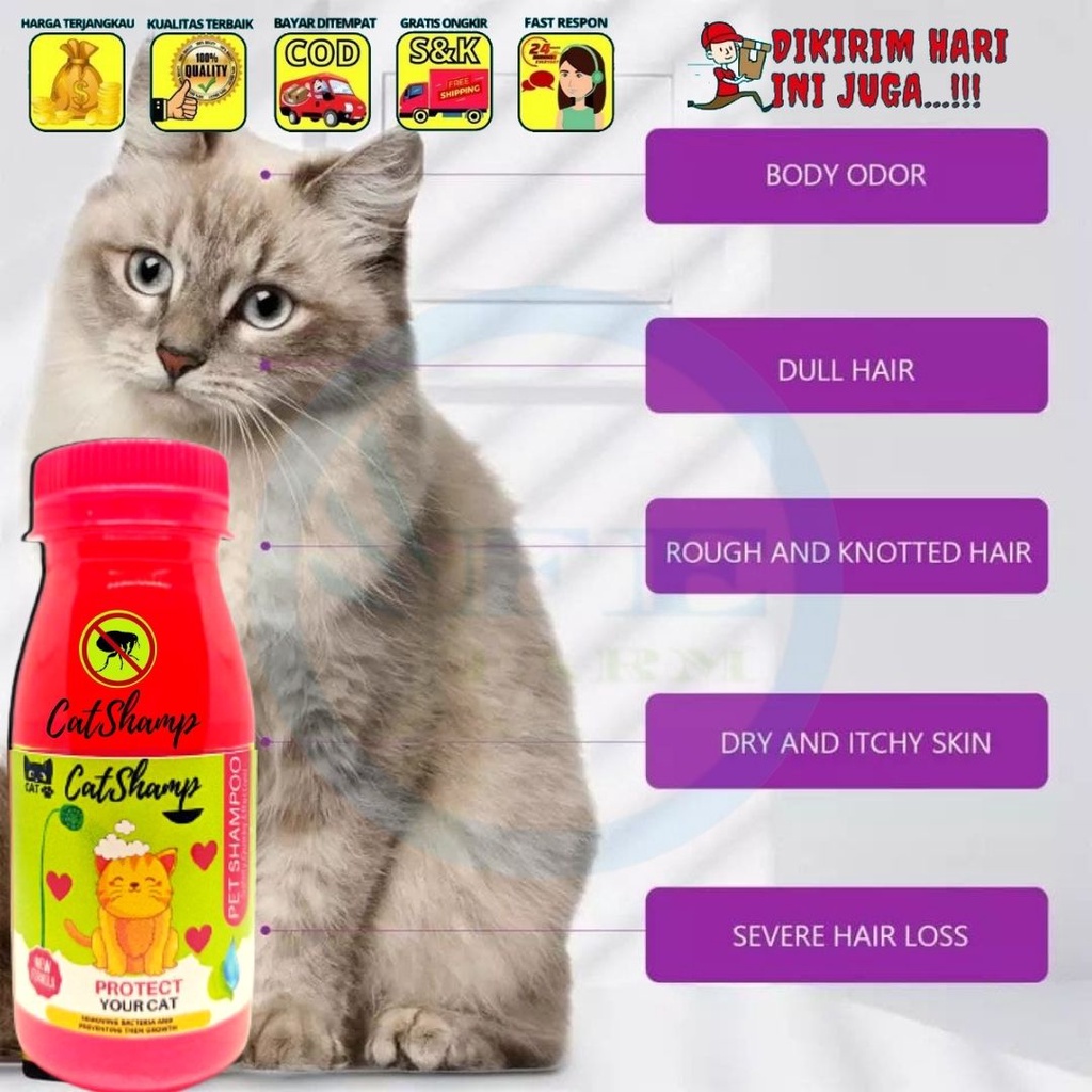 Cat Shamp Shampoo Kucing Anjing Kelinci ANTI KUTU &amp; JAMUR AMPUH FEFARM