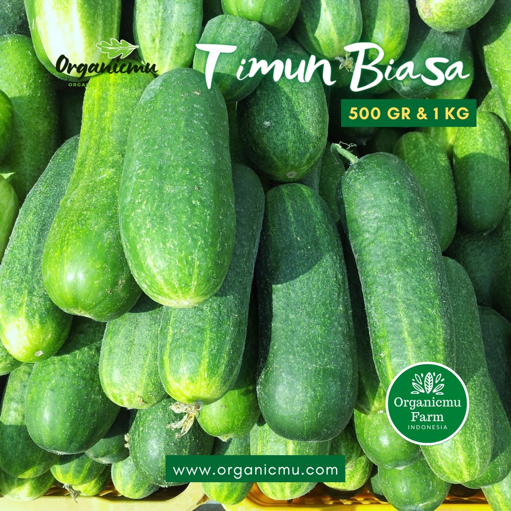 

Organicmu - Timun Biasa 1 kg
