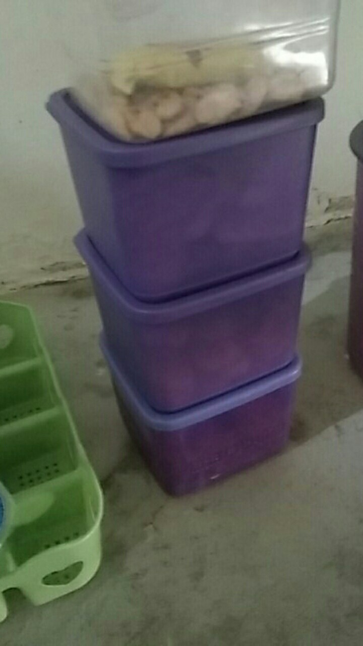 Medium Tropical Fiesta 1 Pcs (satuan) Toples Tupwr