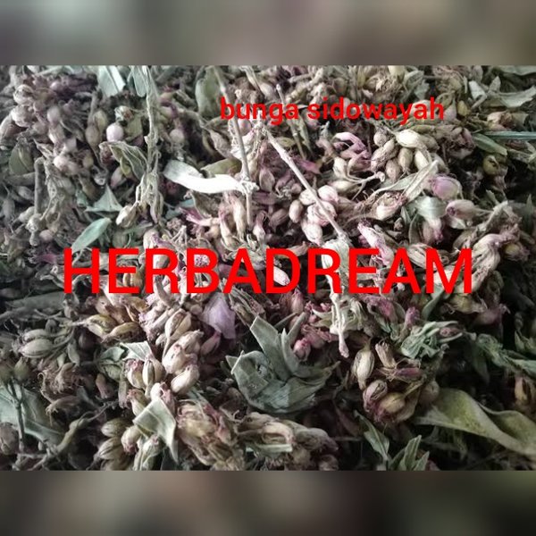 

BUNGA SIDOWAYAH KERING 1000 GRAM / 1 KG - Woodfordia Floribunda