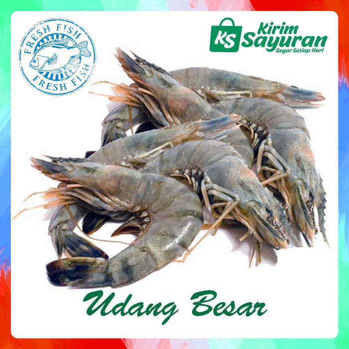 

Udang Besar / 12-15 ekor (500 g)