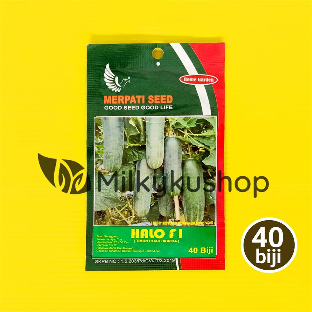 BENIH MERPATI SEED HALO F1 TIMUN 40 BIJI SACHET KEMASAN PABRIK