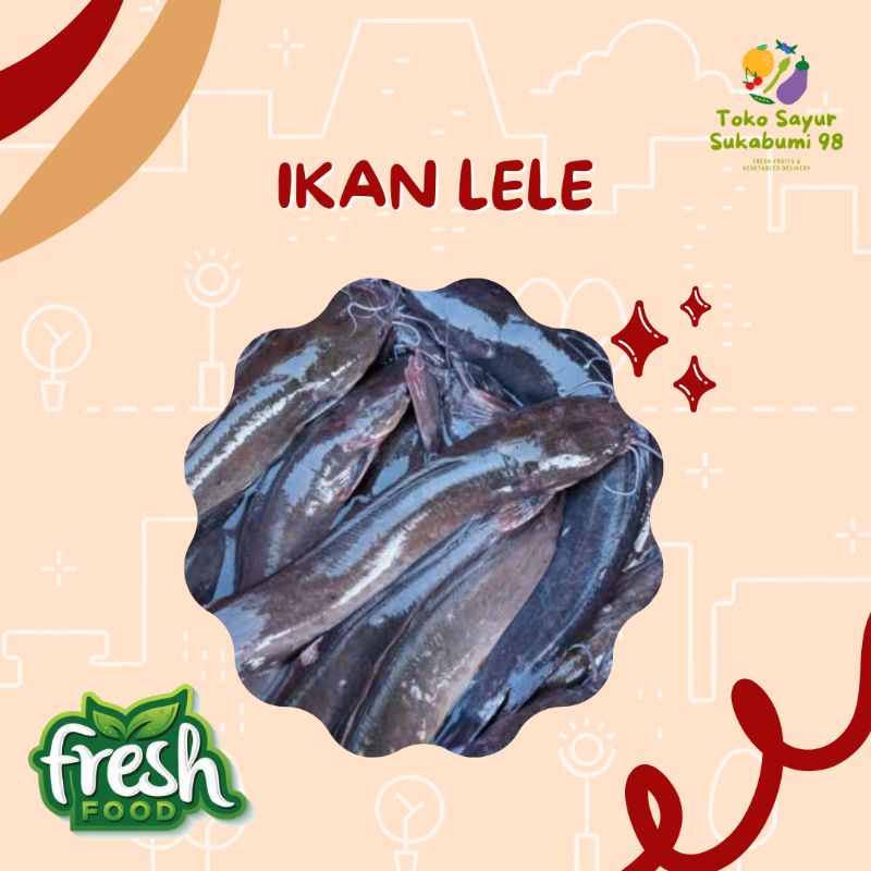

IKAN LELE FRESH 1kg