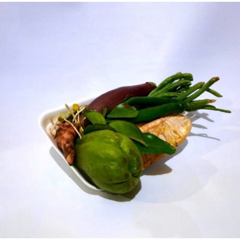 

Paket Sayur Lodeh [PO H+1]