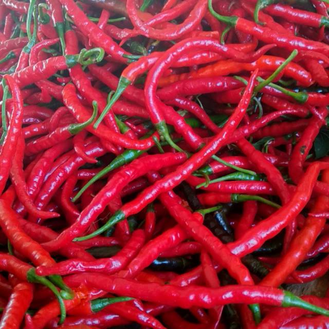 

CABE MERAH segar 500 gram 1kg "SEKAR LABU