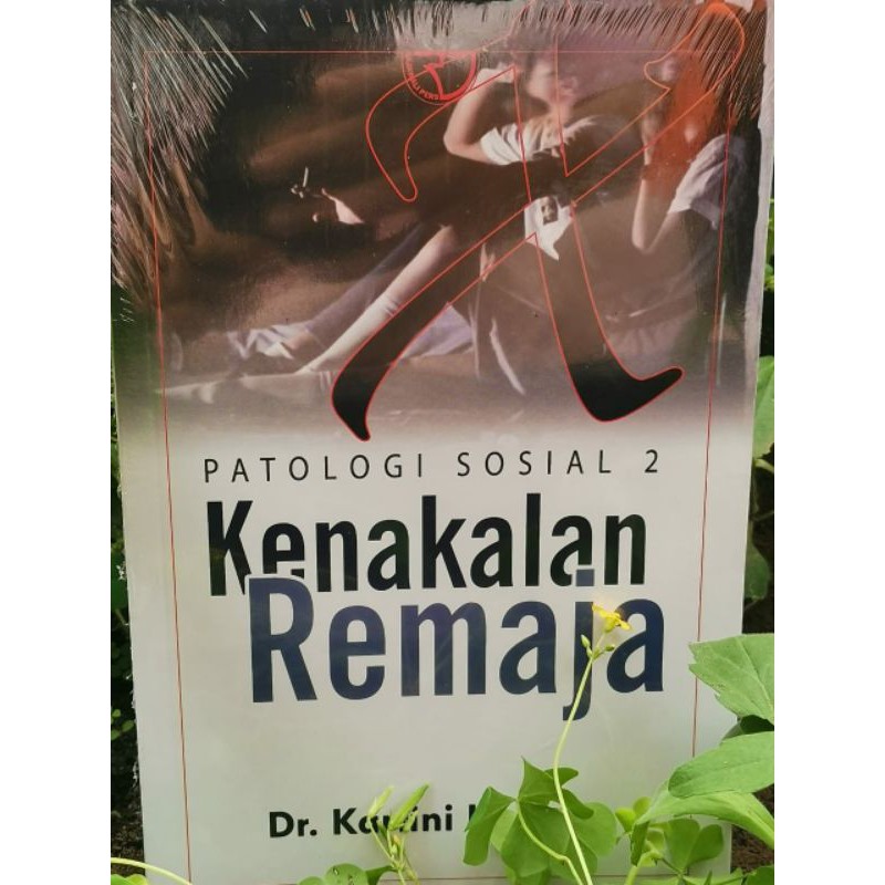 BUKU KENAKALAN REMAJA KARTINI KARTONO