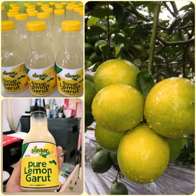 Sirup lemon asli garut