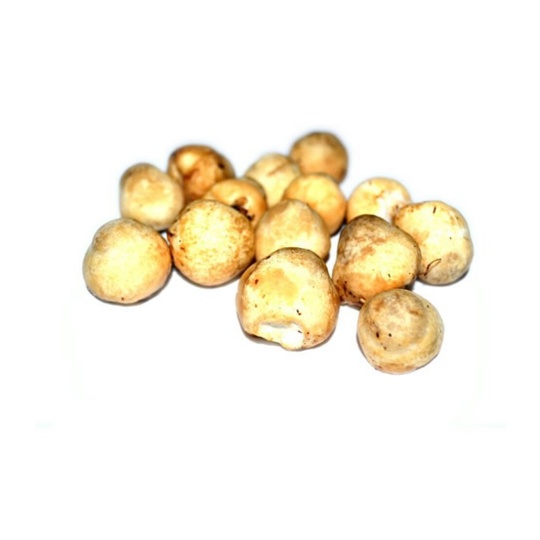 

PASAR MINI JODEL - JAMUR MERANG 250GR