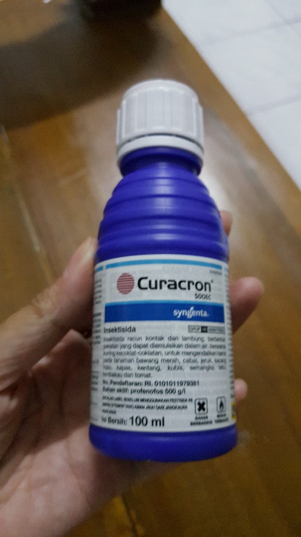 Insektisida Curacron Pembasmi Hama Kutu Putih