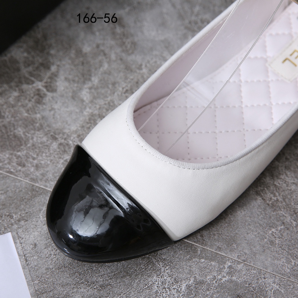 Ch Flatshoe #166-56