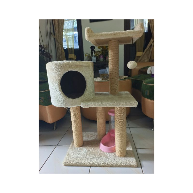 Rumah kucing/cat house
