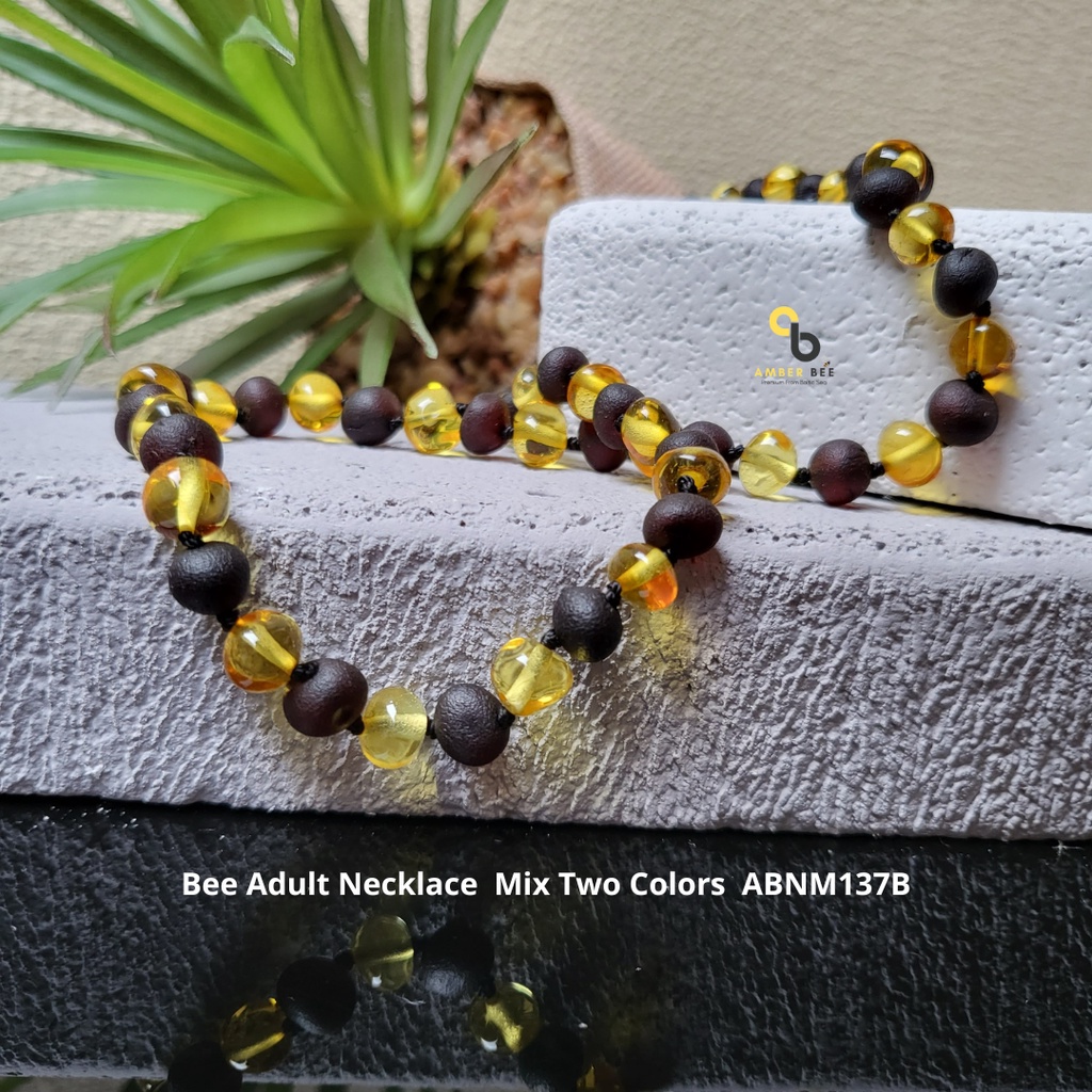 Kalung Amber Dewasa Premium Mix Two Colors by Amberbee ABNM137