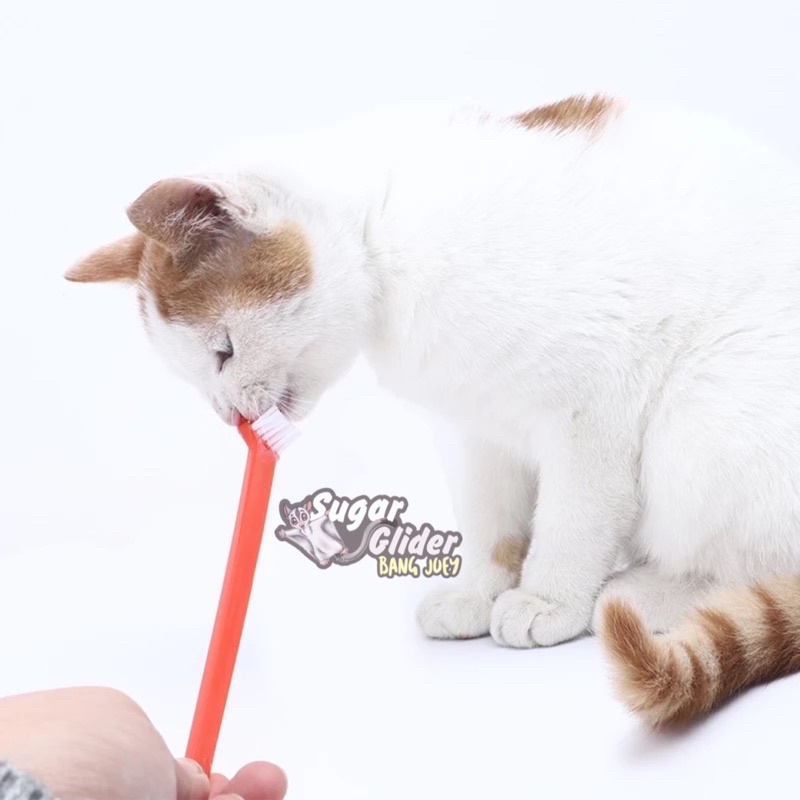 TOOTHBRUSH for PET Sikat Gigi Hewan Anjing Kucing kelinci free Sarung Jari Pembersih musang monyet