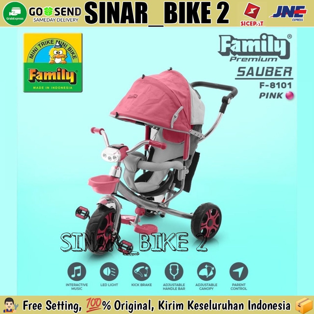 Sepeda Anak Roda Tiga Family F-8101 Sponge Safety Guard Tongkat Dorong Tricycle