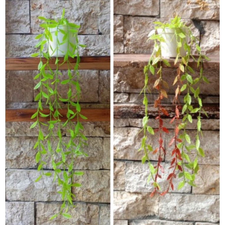 BUNGA HIAS PLASTIK ARTIFICIAL MURAH DAUN JUNTAI