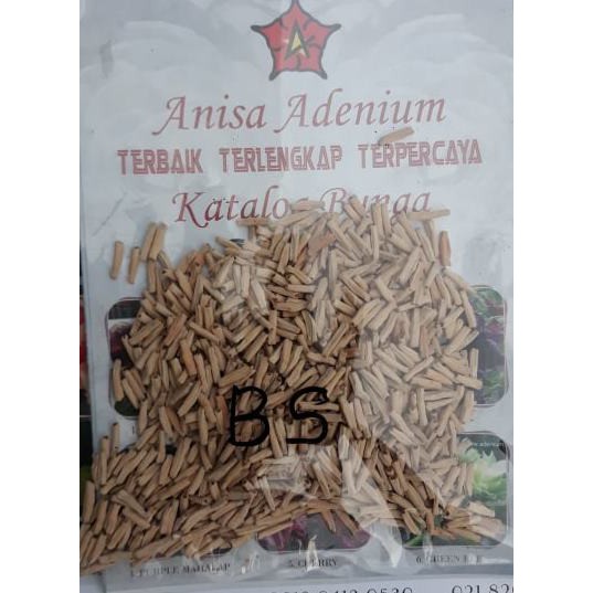 Seeds/Biji/Benih Adenium BLACK SOMALENSE