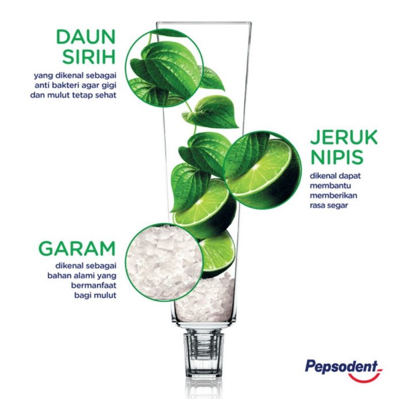 Pepsodent Pasta Gigi Herbal 190/150g