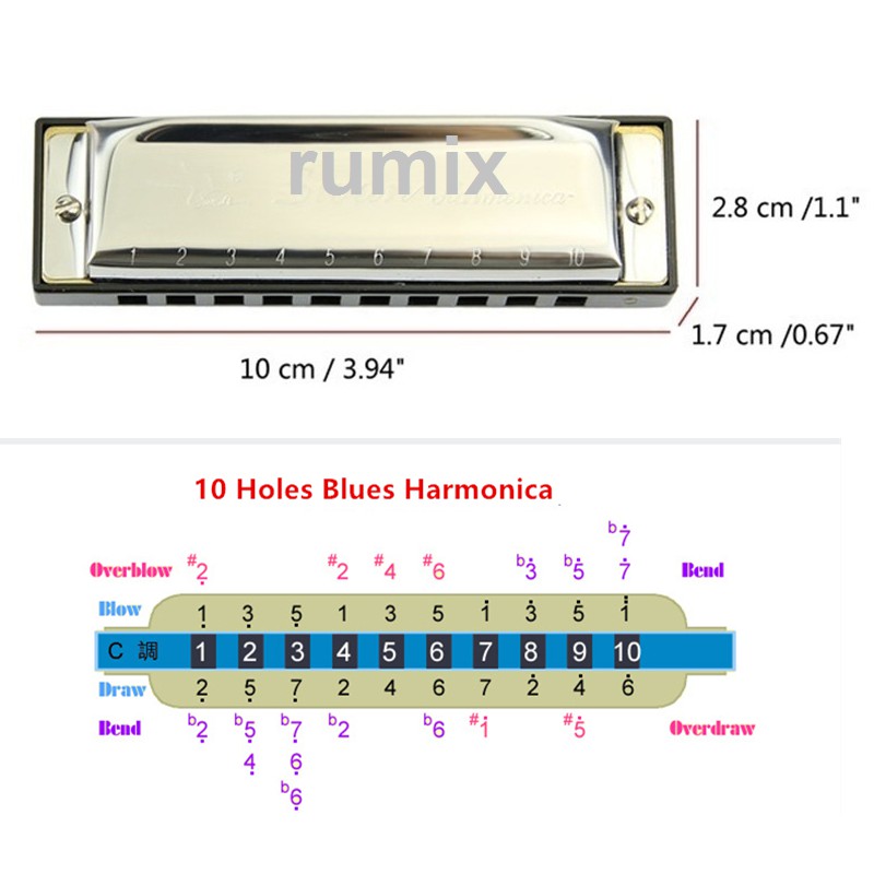 Harmonika Swan 10 lubang Nada C Harmonica 10 Hole Diatonik Blues Jazz Rock Country 10 Holes Nada C