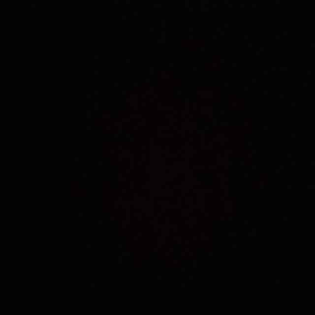 Kuas Cat Tembok Besi Kayu Eterna 4 Inch